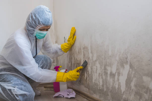 Mold Remediation for Rental Properties in Champlin, MN