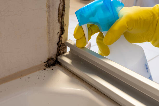 Best Biohazard Mold Removal  in Champlin, MN