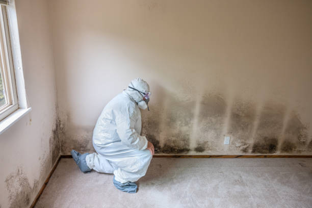 Best Industrial Mold Remediation  in Champlin, MN